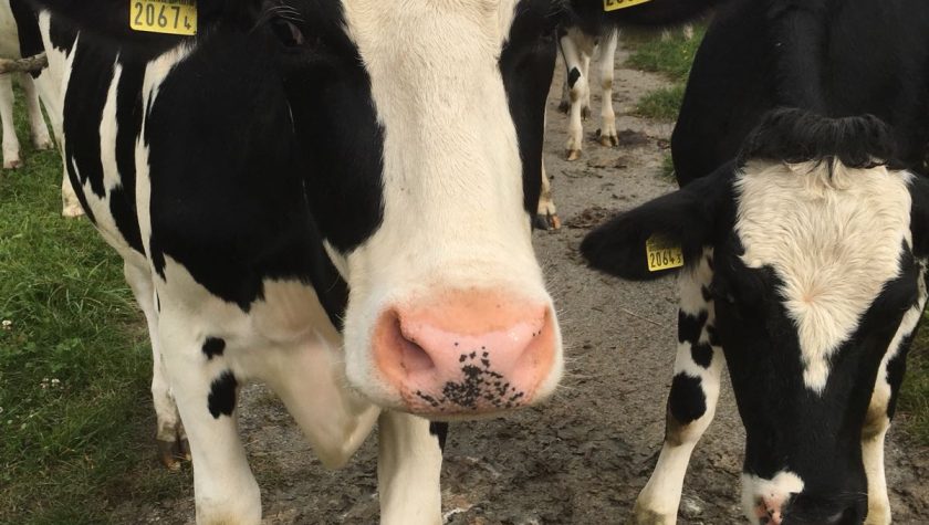 2017-10-07-PHOTO-00000030